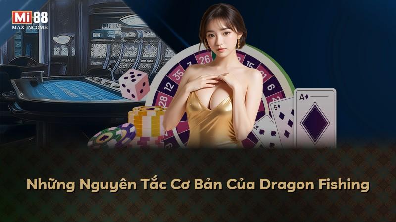 Những Nguyên Tắc Cơ Bản Của Dragon Fishing