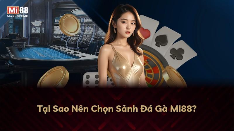 Tại Sao Nên Chọn Sảnh Đá Gà MI88?