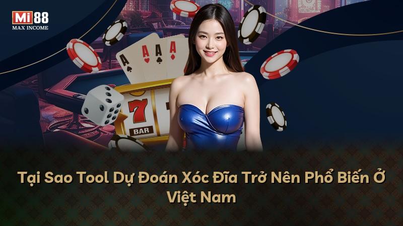Tại Sao Tool Dự Đoán Xóc Đĩa Trở Nên Phổ Biến Ở Việt Nam